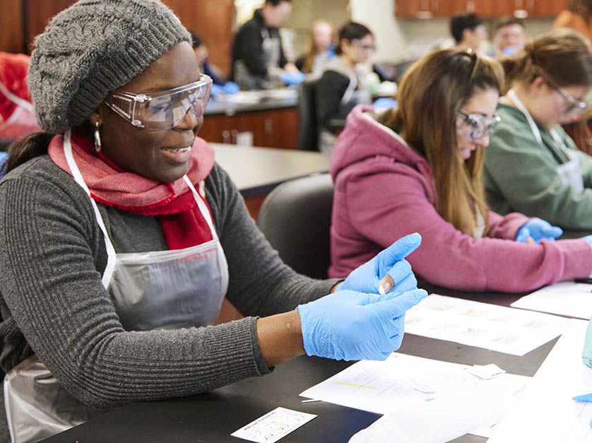 Female student in gray knit beret sits next to other students at a lab table and puts on blue gloves for a lab experiment.