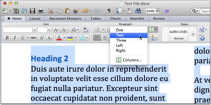 Columns in MS Word 2010 and Word for Mac 2011